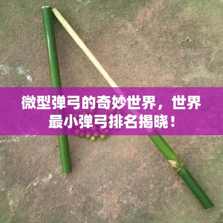微型弹弓的奇妙世界，世界最小弹弓排名揭晓！