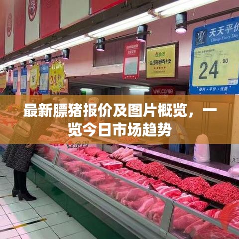 最新膘猪报价及图片概览，一览今日市场趋势