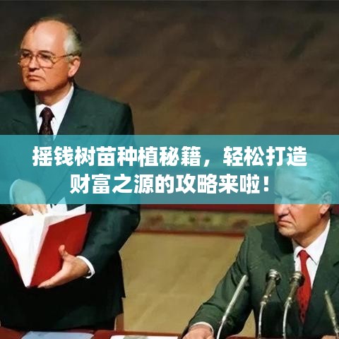 摇钱树苗种植秘籍，轻松打造财富之源的攻略来啦！