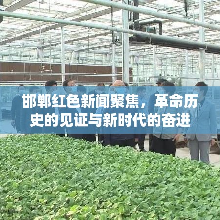 邯郸红色新闻聚焦，革命历史的见证与新时代的奋进