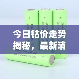 今日钴价走势揭秘，最新消息、市场分析与发展展望