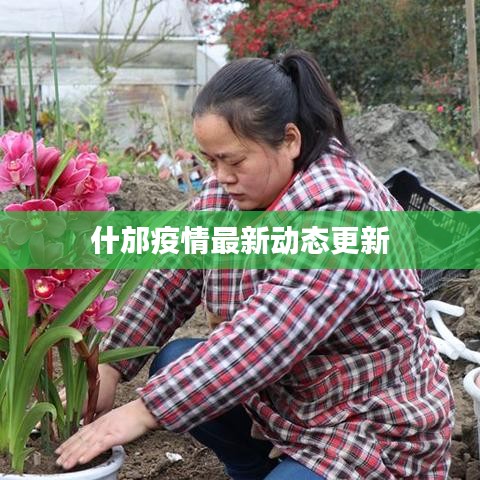 什邡疫情最新动态更新