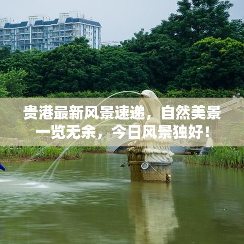 贵港最新风景速递，自然美景一览无余，今日风景独好！