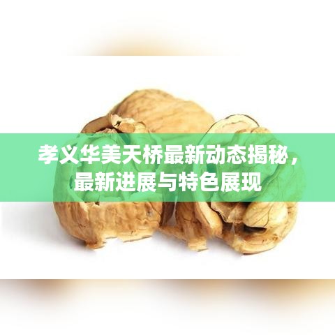 孝义华美天桥最新动态揭秘，最新进展与特色展现