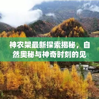 神农架最新探索揭秘，自然奥秘与神奇时刻的见证