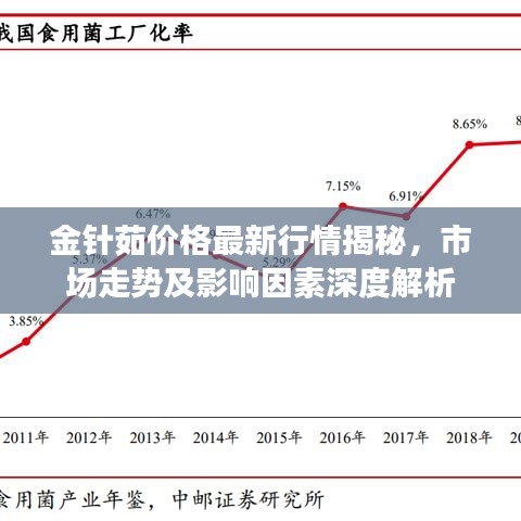 金针茹价格最新行情揭秘，市场走势及影响因素深度解析