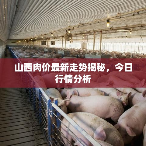 山西肉价最新走势揭秘，今日行情分析
