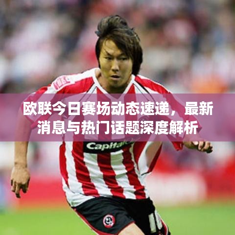 文质彬彬