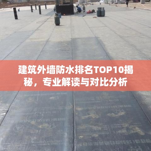 建筑外墙防水排名TOP10揭秘，专业解读与对比分析