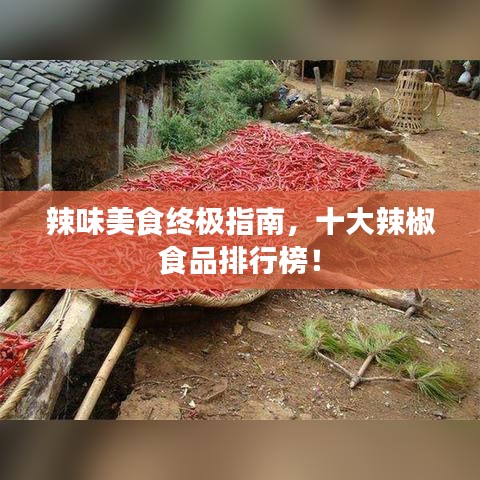 辣味美食终极指南，十大辣椒食品排行榜！