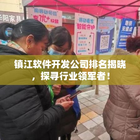 镇江软件开发公司排名揭晓，探寻行业领军者！