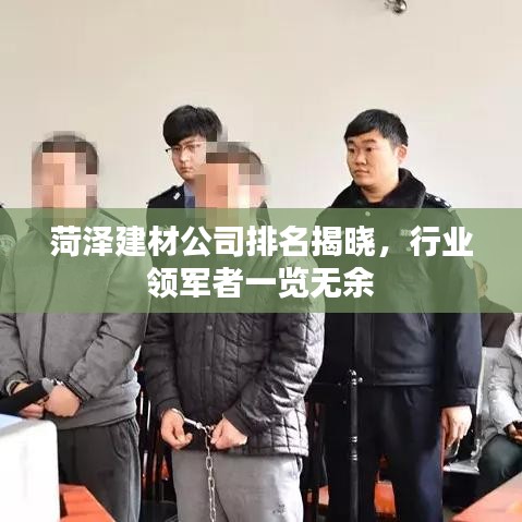 菏泽建材公司排名揭晓，行业领军者一览无余