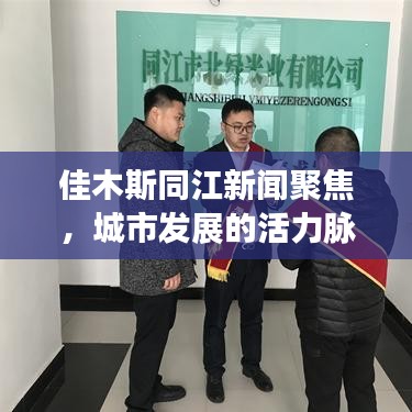 佳木斯同江新闻聚焦，城市发展的活力脉搏点