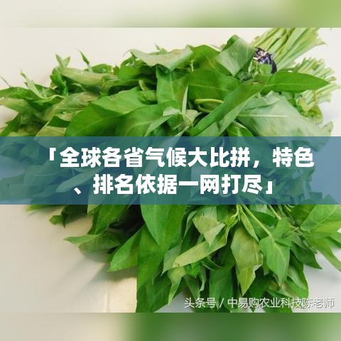 「全球各省气候大比拼，特色、排名依据一网打尽」