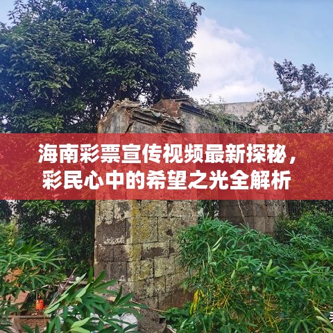 水浄鹅飞