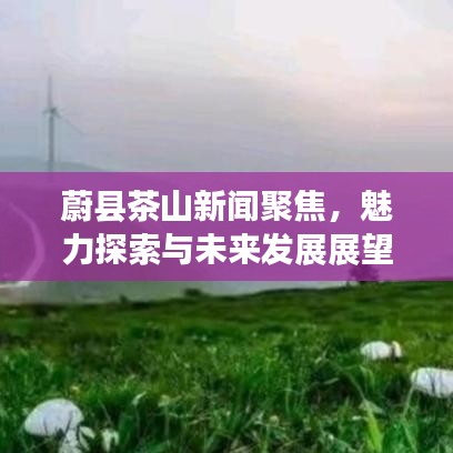 蔚县茶山新闻聚焦，魅力探索与未来发展展望