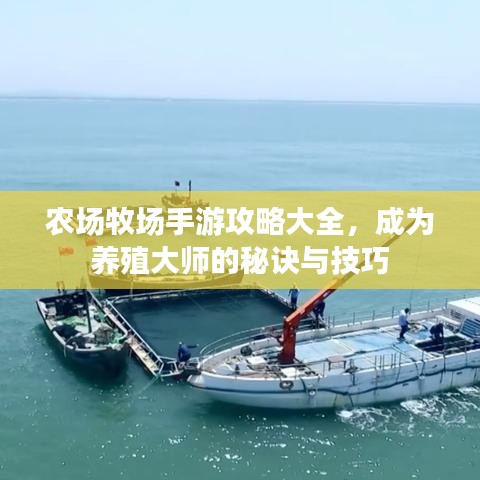 农场牧场手游攻略大全，成为养殖大师的秘诀与技巧