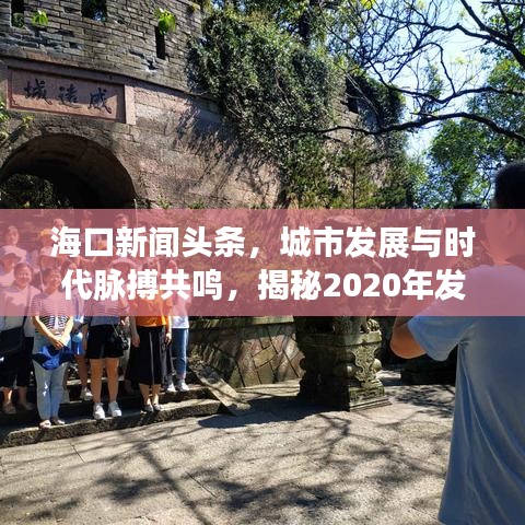 海口新闻头条，城市发展与时代脉搏共鸣，揭秘2020年发展新篇章
