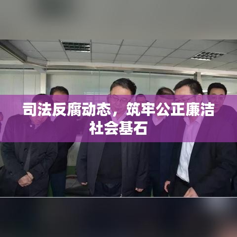 司法反腐动态，筑牢公正廉洁社会基石