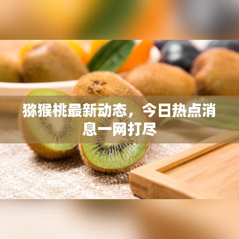 猕猴桃最新动态，今日热点消息一网打尽