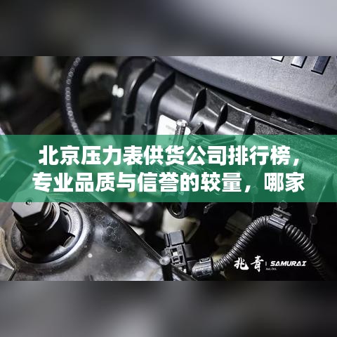北京压力表供货公司排行榜，专业品质与信誉的较量，哪家公司更胜一筹？
