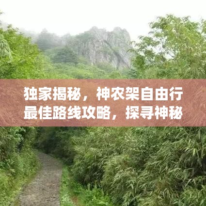 独家揭秘，神农架自由行最佳路线攻略，探寻神秘自然王国的奥秘之旅