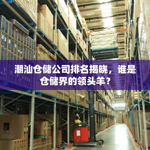 潮汕仓储公司排名揭晓，谁是仓储界的领头羊？