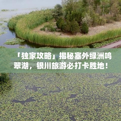 「独家攻略」揭秘塞外绿洲鸣翠湖，银川旅游必打卡胜地！