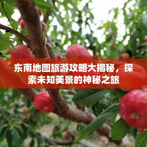 东南地图旅游攻略大揭秘，探索未知美景的神秘之旅
