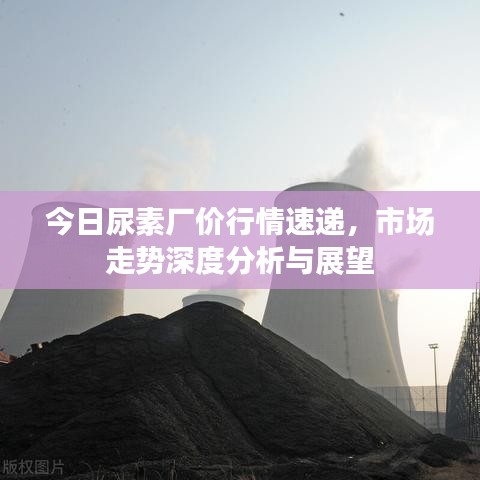 今日尿素厂价行情速递，市场走势深度分析与展望