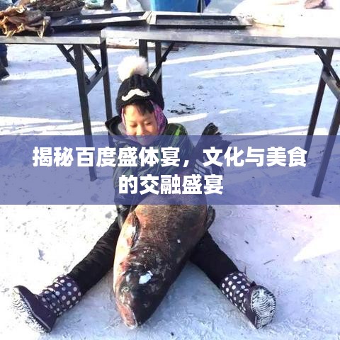 揭秘百度盛体宴，文化与美食的交融盛宴