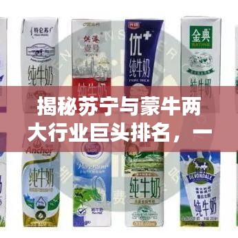 揭秘苏宁与蒙牛两大行业巨头排名，一探究竟！