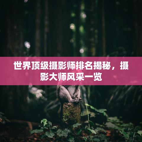 世界顶级摄影师排名揭秘，摄影大师风采一览