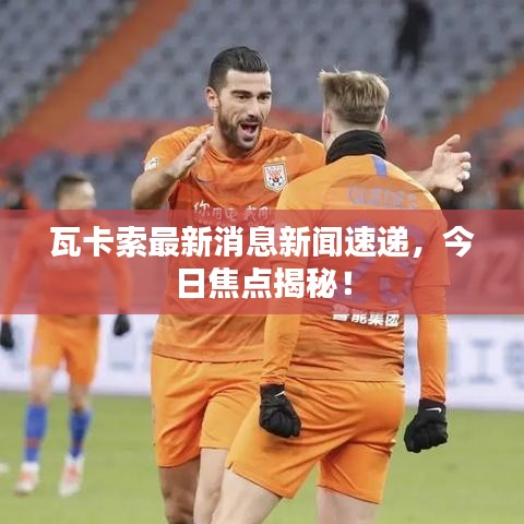 瓦卡索最新消息新闻速递，今日焦点揭秘！