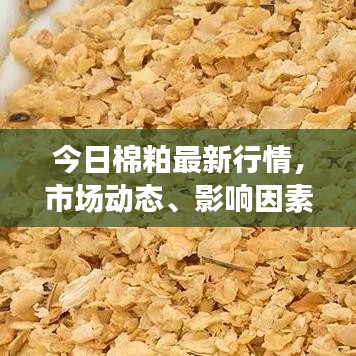 文贵天成