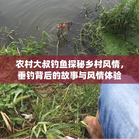 农村大叔钓鱼探秘乡村风情，垂钓背后的故事与风情体验