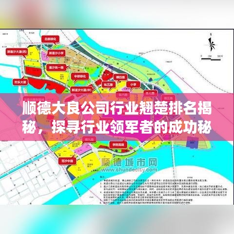 顺德大良公司行业翘楚排名揭秘，探寻行业领军者的成功秘诀