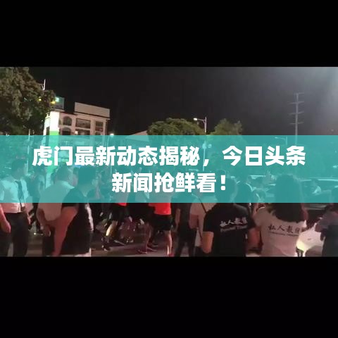 虎门最新动态揭秘，今日头条新闻抢鲜看！