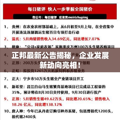 正邦最新公告揭秘，企业发展新动向亮相！