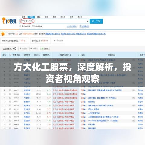 方大化工股票，深度解析，投资者视角观察