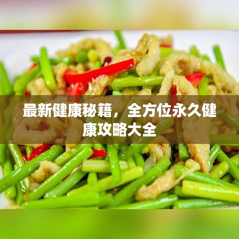 最新健康秘籍，全方位永久健康攻略大全