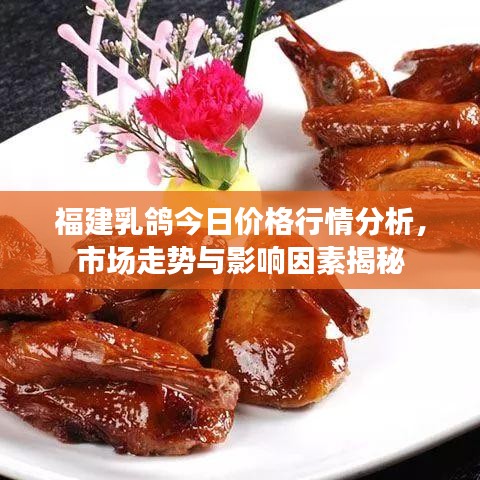 福建乳鸽今日价格行情分析，市场走势与影响因素揭秘