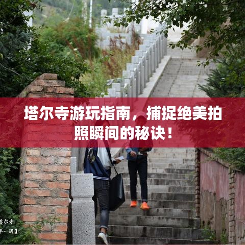 塔尔寺游玩指南，捕捉绝美拍照瞬间的秘诀！