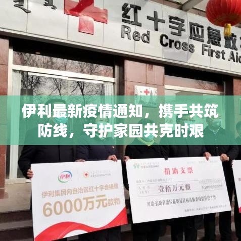 伊利最新疫情通知，携手共筑防线，守护家园共克时艰