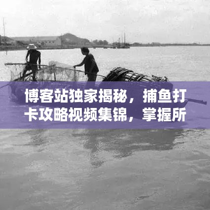 博客站独家揭秘，捕鱼打卡攻略视频集锦，掌握所有技巧！