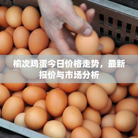 榆次鸡蛋今日价格走势，最新报价与市场分析