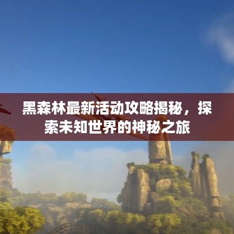 黑森林最新活动攻略揭秘，探索未知世界的神秘之旅