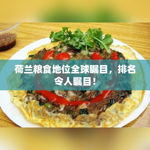 荷兰粮食地位全球瞩目，排名令人瞩目！