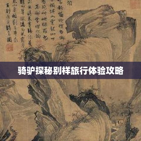 骑驴探秘别样旅行体验攻略