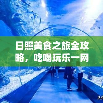日照美食之旅全攻略，吃喝玩乐一网打尽！